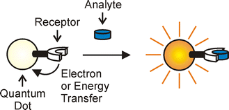 Graphical abstract: Luminescent chemosensors based on semiconductor quantum dots