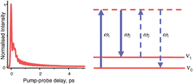 Graphical abstract: Ultrafast dynamics in complex fluids observed through the ultrafast optically-heterodyne-detected optical-Kerr-effect (OHD-OKE)