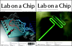Graphical abstract: Happy New Year from Lab on a Chip
