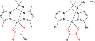 Graphical abstract: Modeling the inhibition of peptide deformylase by hydroxamic acids: influence of the sulfur donor