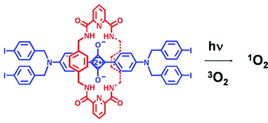 Graphical abstract: Singlet oxygen generation using iodinated squaraine and squaraine-rotaxane dyes