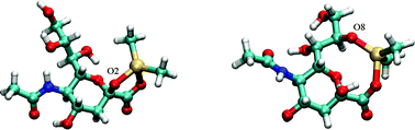 Graphical abstract: Solution structure of R2Sn(iv)-β-N-acetyl-neuraminate (R = Me, Bu) complexes in D2O and DMSO-d6: Experimental NMR and DFT computational study