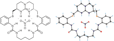 Graphical abstract: Enthalpy driven nitrate complexation by guanidinium-based macrocycles