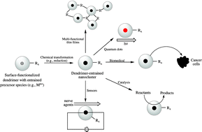 Graphical abstract: Advances in the controlled growth of nanoclusters using a dendritic architecture