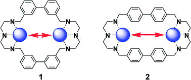 Graphical abstract: Linear recognition of dicarboxylates by ditopic macrocyclic complexes