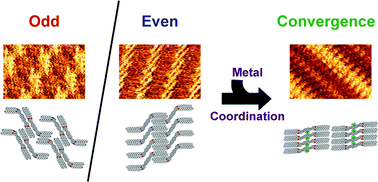 Graphical abstract: Odd–even effect and metal induced structural convergence in self-assembled monolayers of bipyridine derivatives