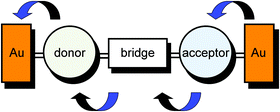 Graphical abstract: Molecular diodes and ultra-thin organic rectifying junctions: Au–S–CnH2n–Q3CNQ and TCNQ derivatives