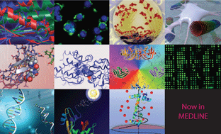 Graphical abstract: Happy New Year from Molecular BioSystems