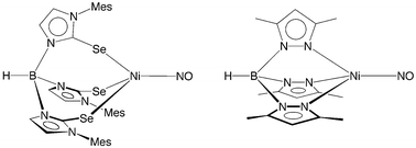 Graphical abstract: Tetrahedral nickel nitrosyl complexes with tripodal [N3] and [Se3] donor ancillary ligands: structural and computational evidence that a linear nitrosyl is a trivalent ligand