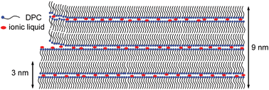 Graphical abstract: Dried foam films with a triple bilayer structure induced by ionic liquids