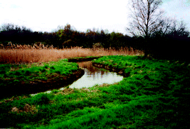 Graphical abstract: Classification of alluvial soils according to their potential environmental risk: a case study for Belgian catchments