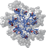 Graphical abstract: Dendrimers and magnetic resonance imaging