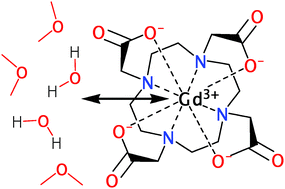 Graphical abstract: The dynamics of water exchange in gadolinium DOTA complexes studied by transition path sampling and potential of mean force methods