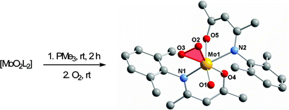 Graphical abstract: Molecular oxygen activation by a molybdenum(iv) monooxo bis(β-ketiminato) complex