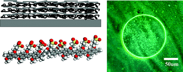 Graphical abstract: Robust, fluorescent, and nanoscale freestanding conjugated films