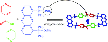 Graphical abstract: Self-assembly of metal–organic hybrid nanoscopic rectangles