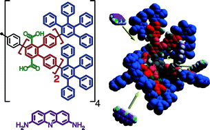 Graphical abstract: Precision host–guest chemistry of polyphenylene dendrimers