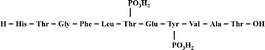 Graphical abstract: The synthesis of phosphopeptides via the Bpoc-based approach