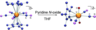 Graphical abstract: The first cyclopentadienyl complex of uranyl