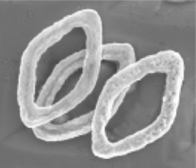 Graphical abstract: Chemical nanofabrication: a general route to surface-patterned and free-standing transition metal chalcogenide nanostructures