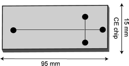 Graphical abstract: Rapid prototyping of microfluidic devices with a wax printer