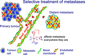 Graphical abstract: Ruthenium complexes can target determinants of tumour malignancy