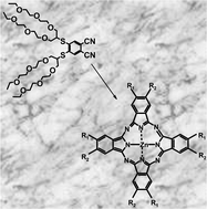 Graphical abstract: Synthesis, photophysical and photochemical properties of poly(oxyethylene)-substituted zinc phthalocyanines