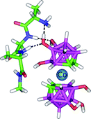 Graphical abstract: Interaction of heteroboranes with biomolecules Part 2. The effect of various metal vertices and exo-substitutions