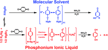Graphical abstract: Grignard reagents in ionic solvents: electron transfer reactions and evidence for facile Br–Mg exchange