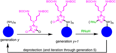 Graphical abstract: A divergent route towards single-chemical entity triazine dendrimers with opportunities for structural diversity