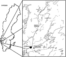 Graphical abstract: Influence of feeding procedure on biomarkers in caged rainbow trout (Oncorhynchus mykiss) used in environmental monitoring