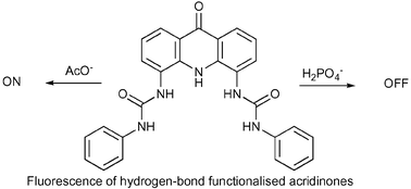 Graphical abstract: Acridinone-based anion receptors and sensors