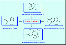 Graphical abstract: A comparative study of the structures and reactivity of cyclometallated platinum compounds of N-benzylidenebenzylamines and cycloplatination of a primary amine