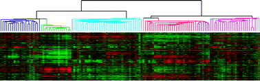 Graphical abstract: Transcriptomic signatures in breast cancer