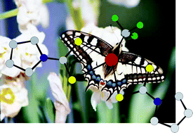 Graphical abstract: Perfluoroalkyl(dithiocarbamato) tellurium(ii) compounds