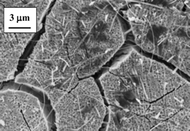 Graphical abstract: Nanowires of molecule-based charge-transfer salts