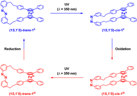Graphical abstract: Reversible operation of chiral molecular scissors by redox and UV light