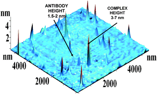 Graphical abstract: Analytical nanobiotechnology for medicine diagnostics