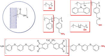 Graphical abstract: Functionalized carbon nanotubes for polymeric nanocomposites