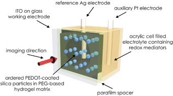 Graphical abstract: Electrochemical tuning the optical properties of crystalline colloidal arrays composed of poly(3,4-ethylenedioxythiophene) coated silica particles