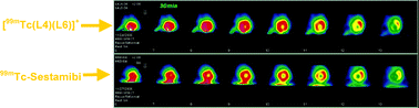 Graphical abstract: Ether and crown ether-containing cationic 99mTc complexes useful as radiopharmaceuticals for heart imaging