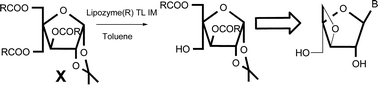 Graphical abstract: Deacylation studies on furanose triesters using an immobilized lipase: Synthesis of a key precursor for bicyclonucleosides