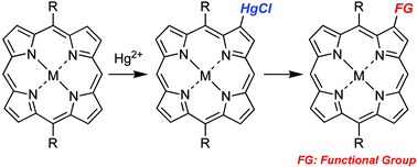 Graphical abstract: Unusual regioselective mercuration of metalloporphyrins and its potential applications