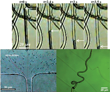 Graphical abstract: Material encapsulation and transport in core–shell micro/nanofibers, polymer and carbon nanotubes and micro/nanochannels