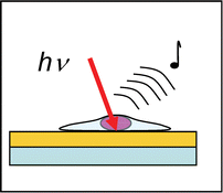 Graphical abstract: Discrimination of prostate cancer cells by reflection mode FTIR photoacoustic spectroscopy