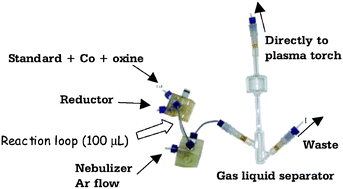 Graphical abstract: Optimization of a vapour generation method for metal determination using ICP-OES