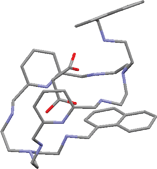 Graphical abstract: A bibracchial lariat aza-crown ether as an abiotic catalyst of malonic acid enolization