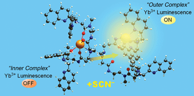 Graphical abstract: Dendrimer container for anion-responsive lanthanide complexation and “on–off” switchable near-infrared luminescence