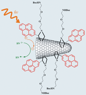 Graphical abstract: Photoinduced electron-transfer processes of carbon nanohorns with covalently linked pyrene chromophores: charge-separation and electron-migration systems