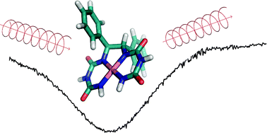 Graphical abstract: Vibrational circular dichroism spectroscopy of a spin-triplet bis-(biuretato) cobaltate(iii) coordination compound with low-lying electronic transitions